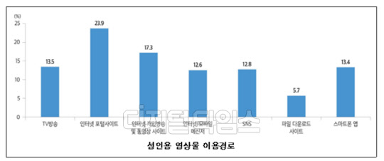 청소년들의 성인용 영상물 이용경로 (자료:여성가족부)